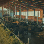 Header_Bild3